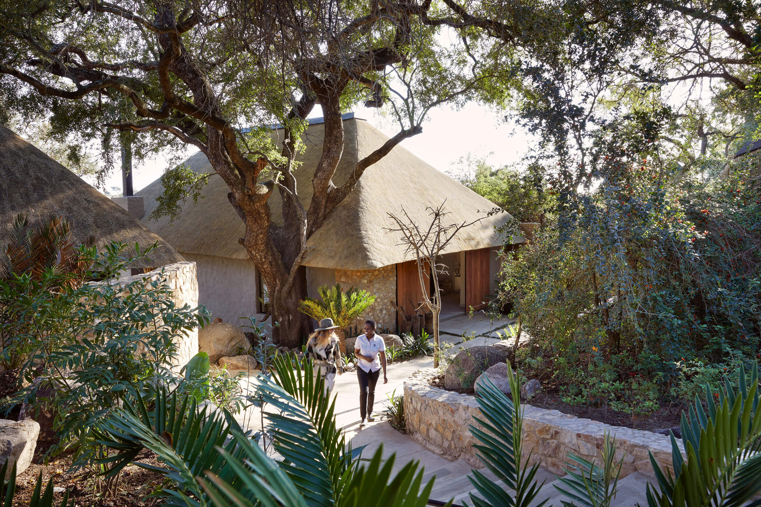 Founders Camp - Luxury Family Lodge in Kruger | Londolozi Game Reserve
