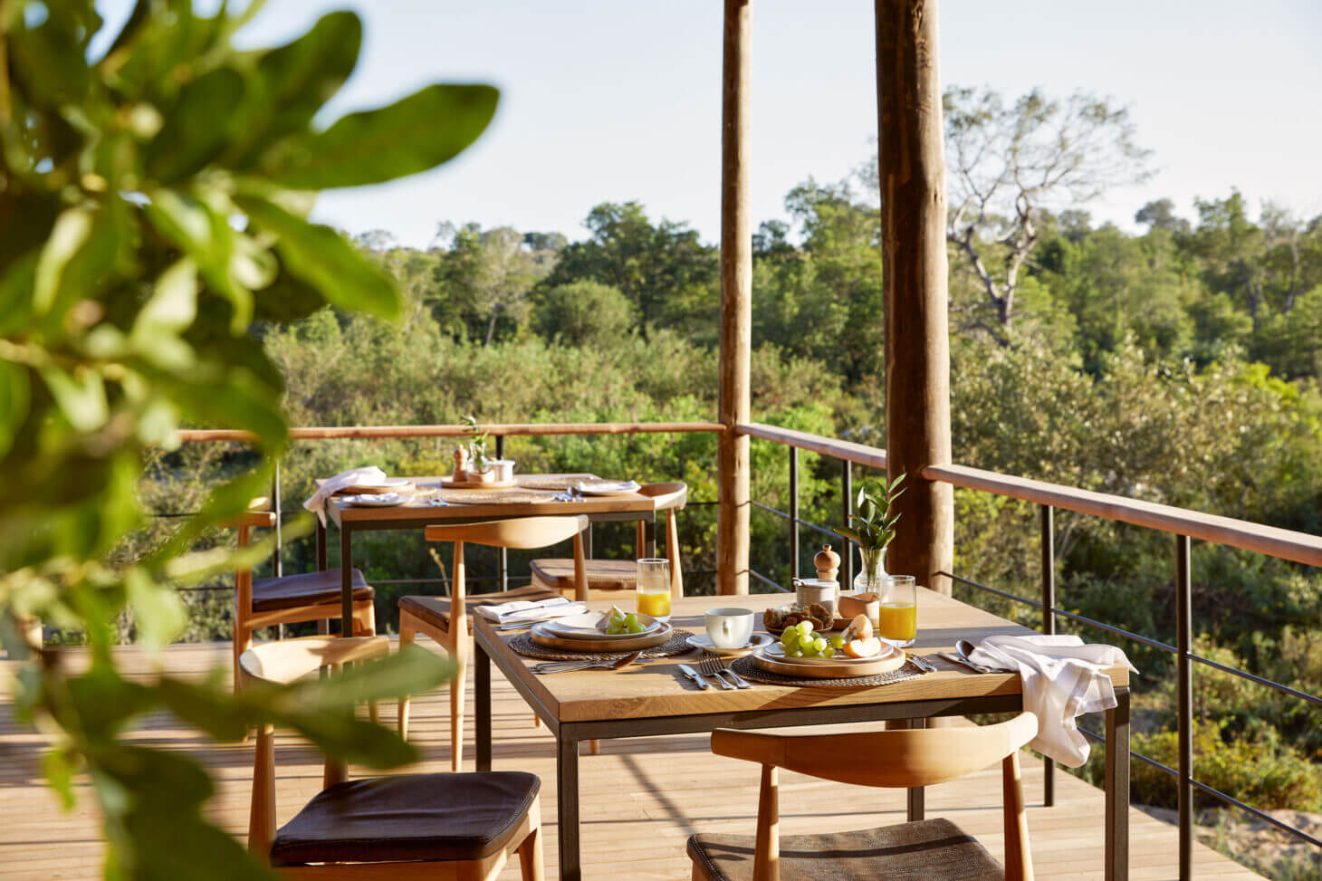 Founders Camp - Luxury Family Lodge in Kruger | Londolozi Game Reserve