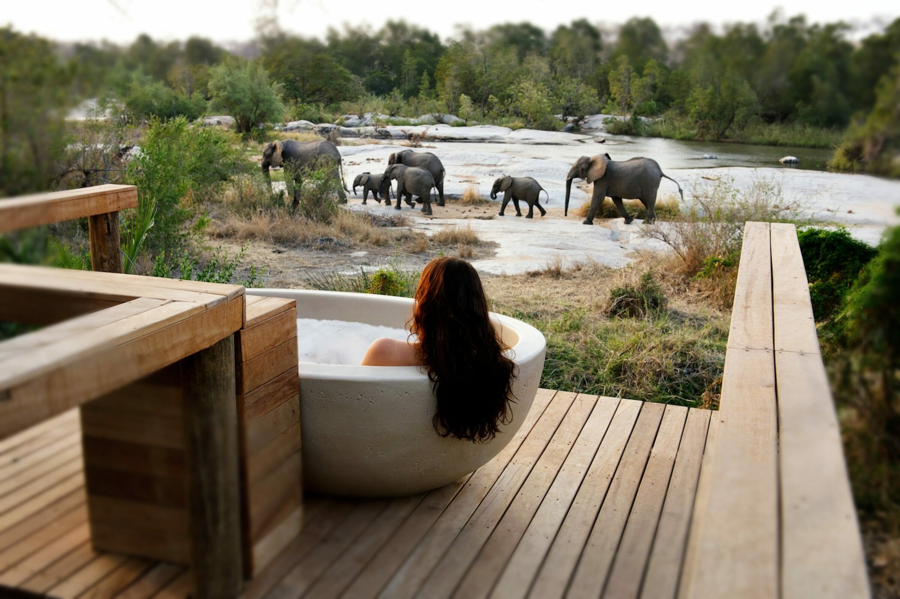 hotel near game park safari