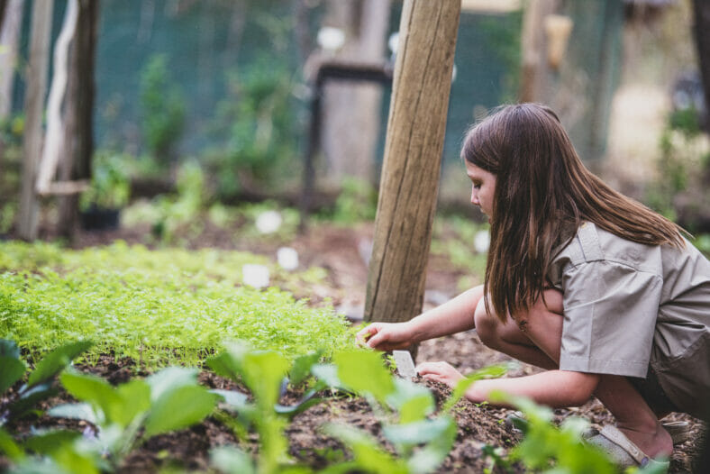 A child bends down to look at vegetables in Londolozi's permaculture driven village