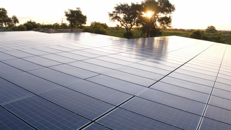 Londolozi's solar farm at sunset, supplying the safari lodge with renewable energy