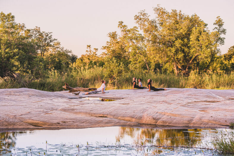 wild safari yoga at Londolozi downward facing dog