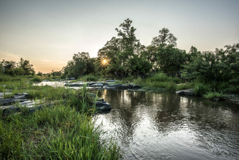 Londolozi Sand River sunset