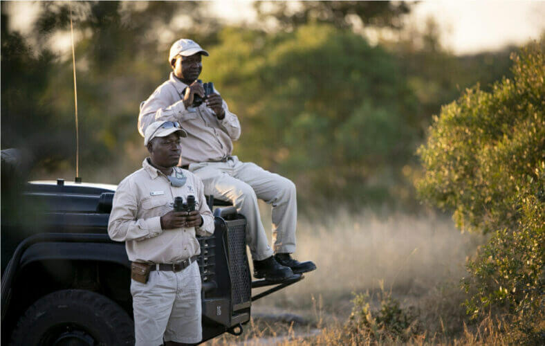 Londolozi Ranger and Tracker