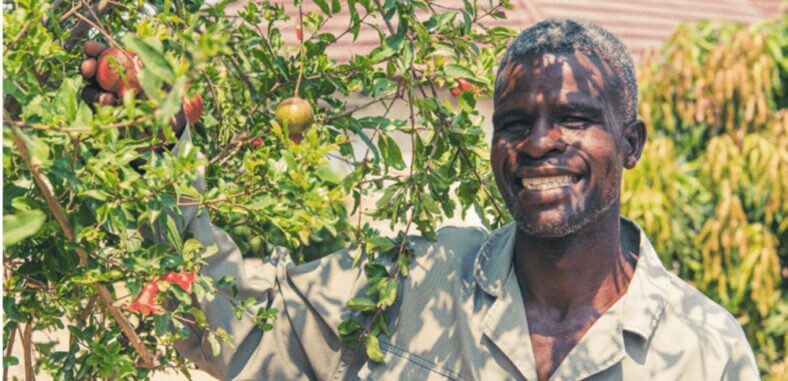 A man stands next to his fruit trees on a sustainable safari in South Africa
