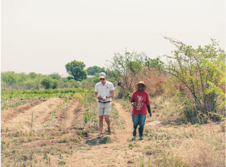Sustainable farming in South Africa