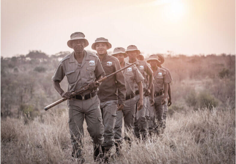 Anti poaching of rhinos in South Africa