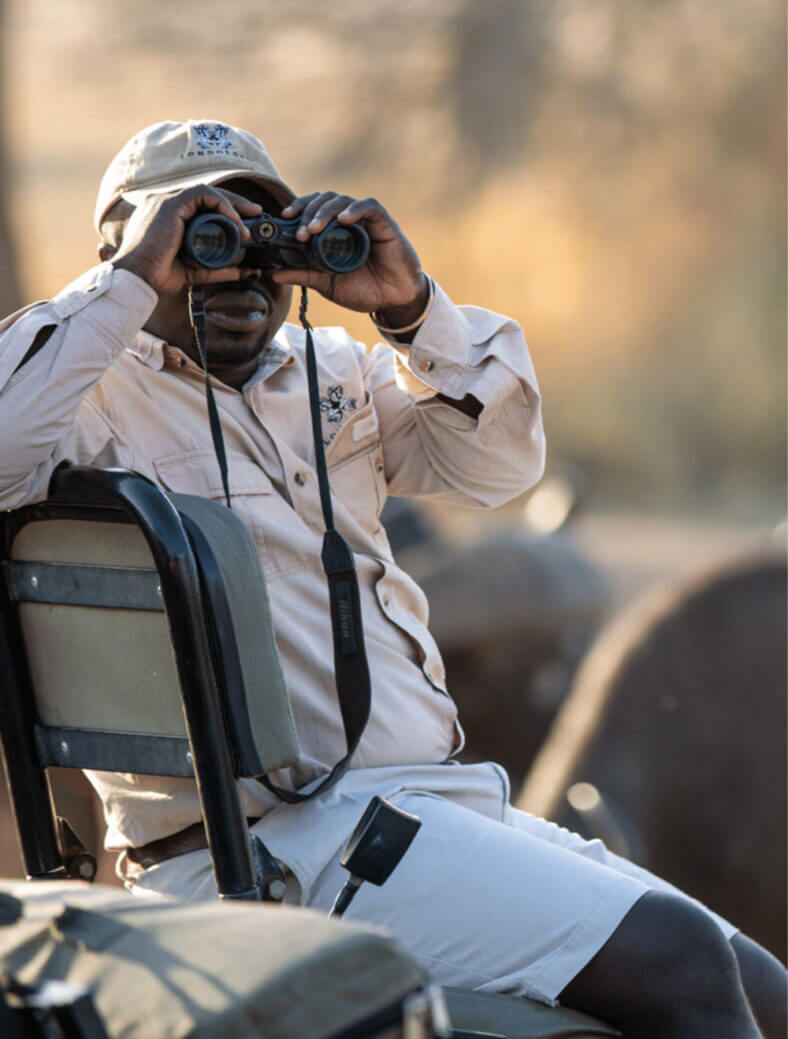 A tracker sits on the tracker seat and uses his binoculars at Londolozi
